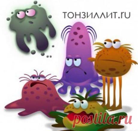 Антибиотики при хроническом тонзиллите: какие принимать для лечения?