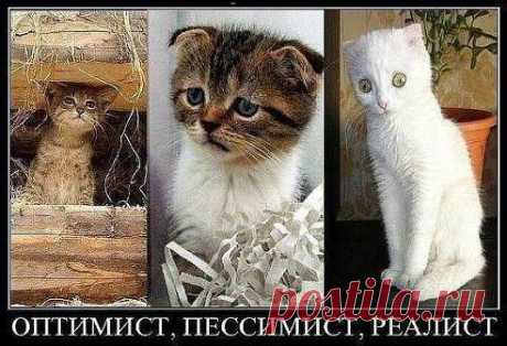 Как точно подмечено!!!
На волне ПоЗиТиВа ☚(ړײ)✌