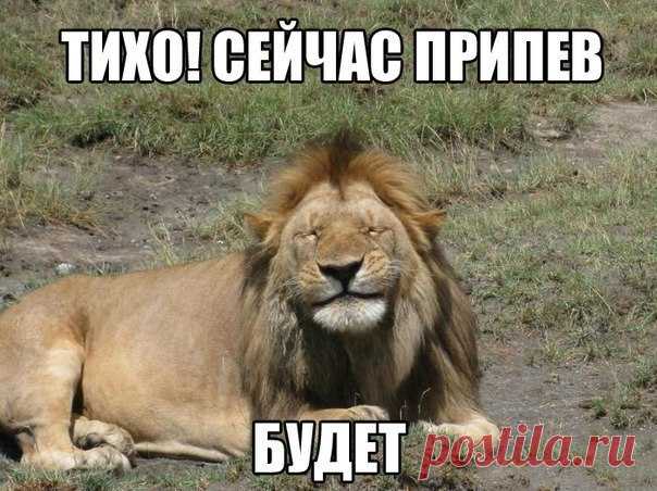 Уфф!!! Ну наконец-то! Котоматрицы великолепные, каждая с улыбкой, позитивом и хорошим настроением!