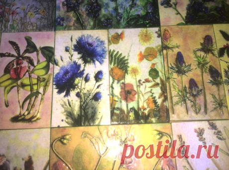 Keramicheskaja plitka_Plitka ruchnoj raboty_plitka keramicheskaja_dekor plitkoj_plitka dlja sten_plitka flora_plitka dlja mebeli_dekor mebeli_plitka s rastenijami_dekor kuhni_dekor vannoj_ panno keramicheskoe_plitku dekorativnuju kupit'_plitka s cvetami_dizajnerskaja plitka_avtorskaja plitka_dekorativnaja plitka_kuhonnyj fartuk_plitka gerbarij_plitka pod zakaz