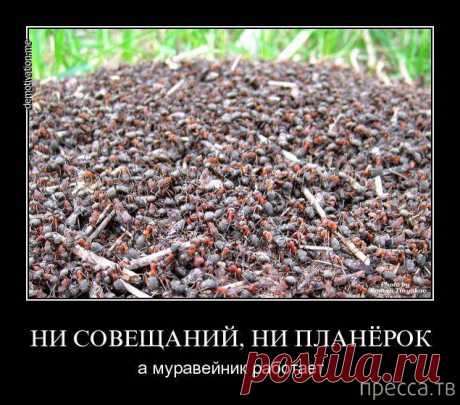 Счастье в мелочах
