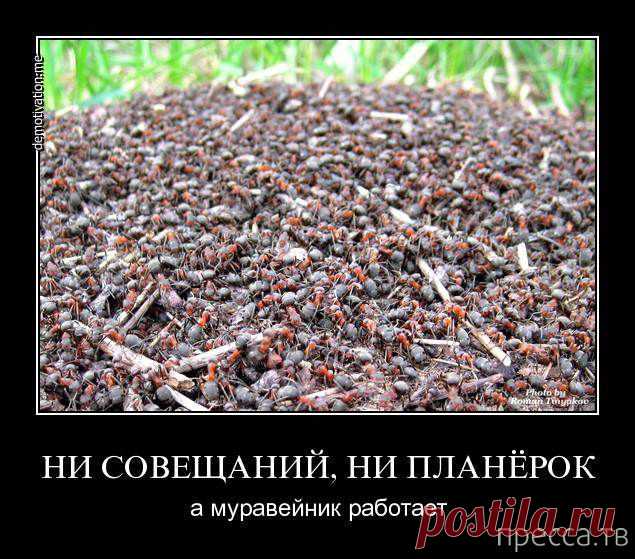 Счастье в мелочах