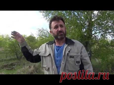 Хотите завести пчел, но нет денег... Часть вторая "Расставляем ловушки"