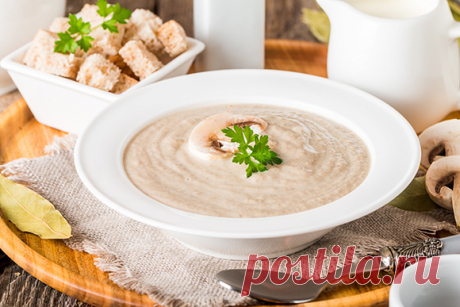 Грибные супы на любой вкус