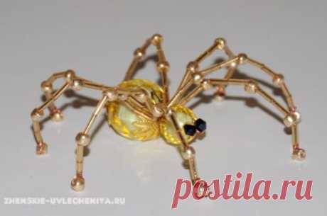 Паучок из бисера и бусин — Сделай сам, идеи для творчества - DIY Ideas