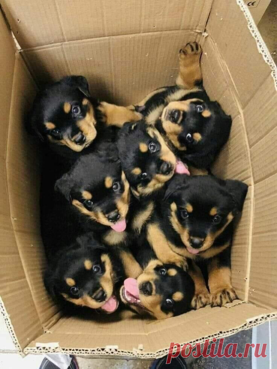 🧡
Прямо у выхода из метро, у буквы 