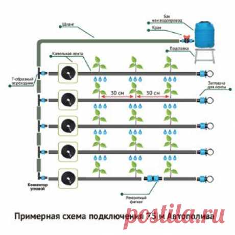 Купить Система капельного автоматического полива "Автополив-75" 75 метра на 150 м грядок по цене 659 р. в магазине z29.ru удивительные товары для телемагазинов оптом