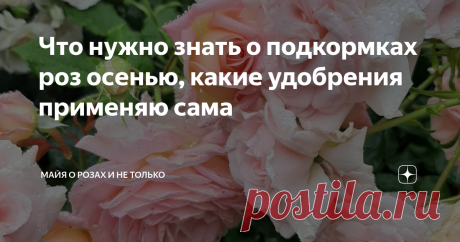 Что нужно знать о подкормках роз осенью, какие удобрения применяю сама Розы отдохнули и потихоньку начинают вторую волну цветения. Сейчас мы должны думать не только о том, как бы получить обильное цветение, но и, самое важное, начинать готовить их к зиме. Именно качественный и правильный уход за розами в августе и сентябре обеспечивает им надёжную зимовку. Здесь можно посмотреть как выглядели мои розы после снятия укрытия На что направлены осенние подкормки На формирование...