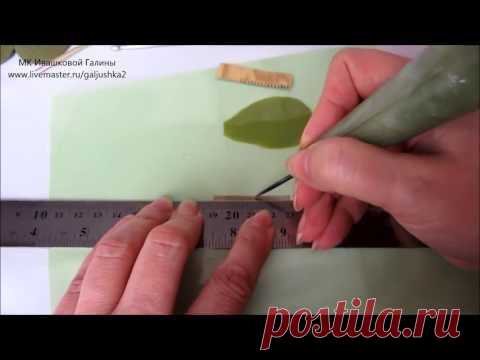 Видео мастер-класс по лепке листочков.