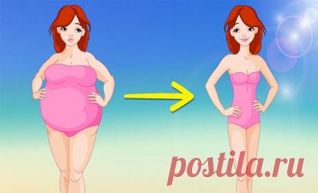 6 секретов диеты, чтобы похудеть — Домашние заботы