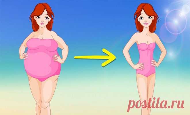 6 секретов диеты, чтобы похудеть — Домашние заботы