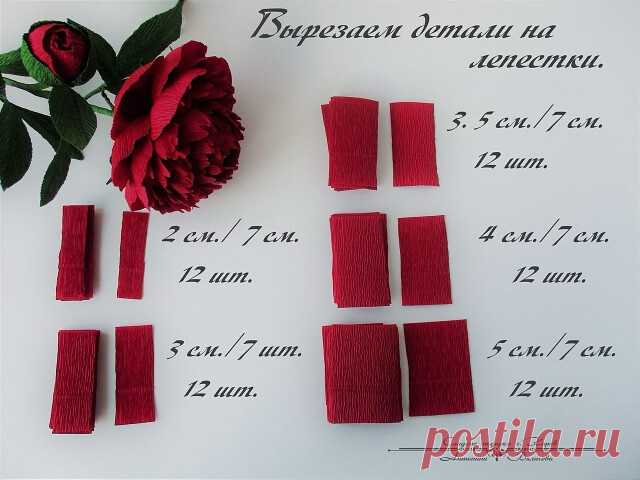 Пион из гофрированной бумаги с конфетой внутри