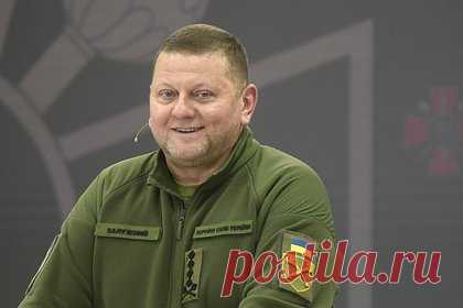 Залужный начал подготовку к возможному участию в президентских выборах Украины