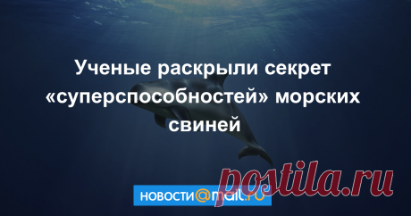 Ученые раскрыли секрет «суперспособности» морских свиней Лучшие военные гидролокаторы бледнеют по сравнению с возможностями эхолокации морских свиней, которые применяют свой сонар для отслеживания добычи, хищников и...