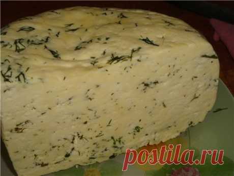 Сыр домаший с зеленью • Блюда из творога и сыра