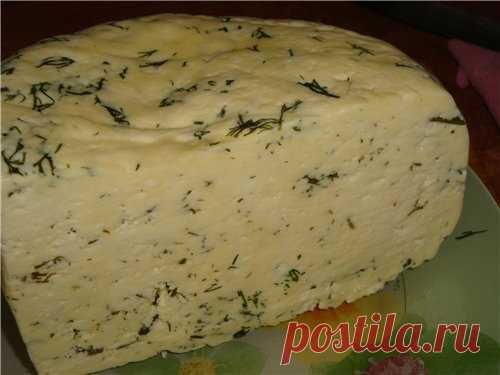 Сыр домаший с зеленью • Блюда из творога и сыра