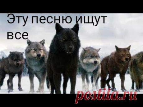 Все ищут эту песню