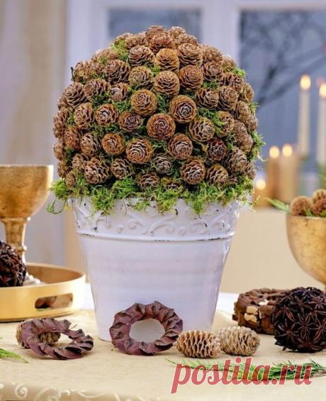 (810) Pinterest