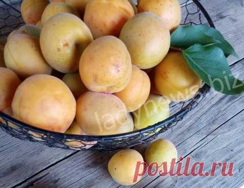 Консервированные абрикосы в собственном соку - вкусный десерт на зиму