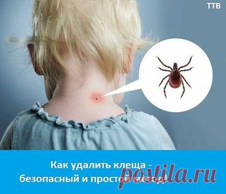 (17) Одноклассники