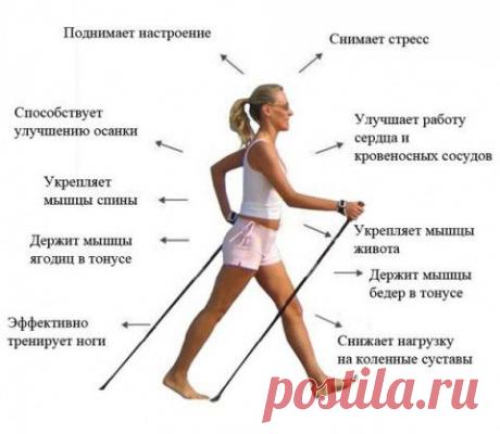 ПО-СКАНДИНАВСКИ - ХОДЬБА С ПАЛКАМИ | Кому за пятьдесят