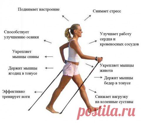 ПО-СКАНДИНАВСКИ - ХОДЬБА С ПАЛКАМИ | Кому за пятьдесят