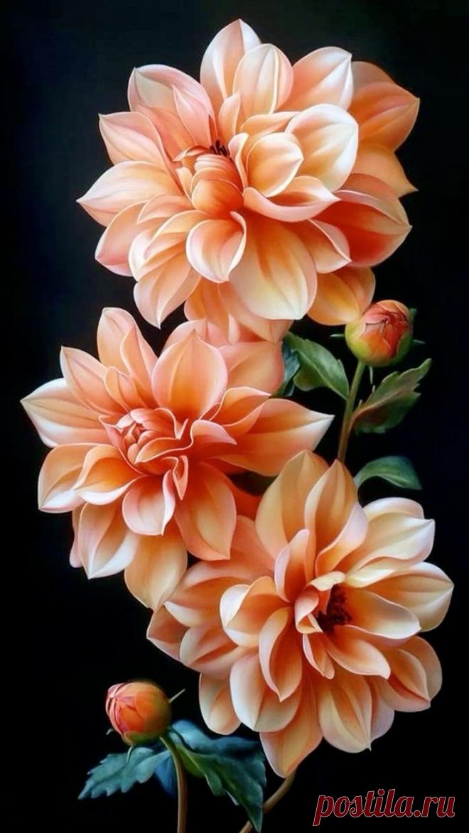 Пин на доске яГЕОРГИН