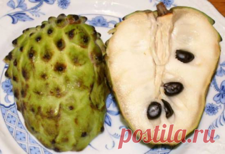 Здоровье. Израильские полезности .фрукт, действующий в тысячи раз мощнее химиотерапии. - 1 Апреля 2015 - NewRezume.org