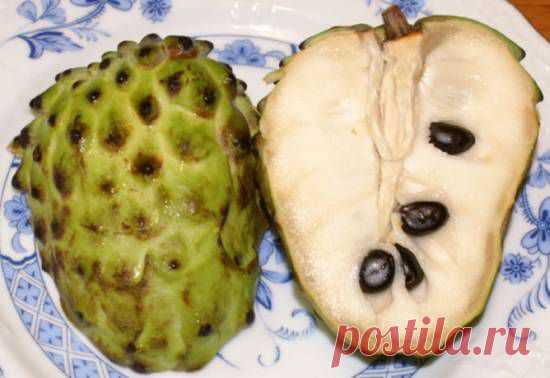 Здоровье. Израильские полезности .фрукт, действующий в тысячи раз мощнее химиотерапии. - 1 Апреля 2015 - NewRezume.org