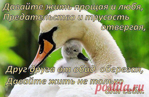 Интересные новости