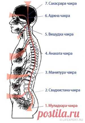 1 первая чакра - Муладхара (корневая чакра)