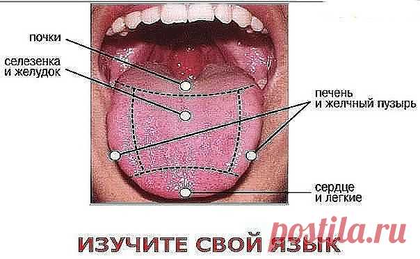 (99+) Одноклассники