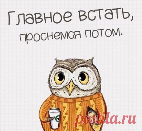 Шустрый Повар | Бот
