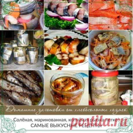 Солёная, маринованная, копчёная рыбка легко!