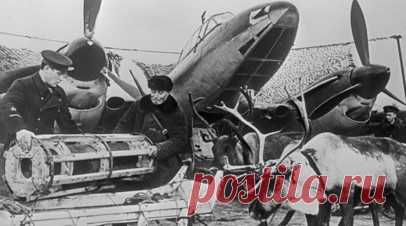 «Приблизить крах нацизма»: как советские войска освободили Заполярье в 1944-м. 80 лет назад завершилась Битва за Заполярье. Советские войска нанесли поражение гитлеровцам и полностью изгнали нацистских оккупантов с территории северо-запада СССР. По словам историков, бои в этом регионе имели стратегическое значение. Военнослужащие Красной армии и Северного флота не подпустили нацистов к Мурманску — крупнейшему незамерзающему порту за Полярным кругом, сохранили возможность принимать конвои от…