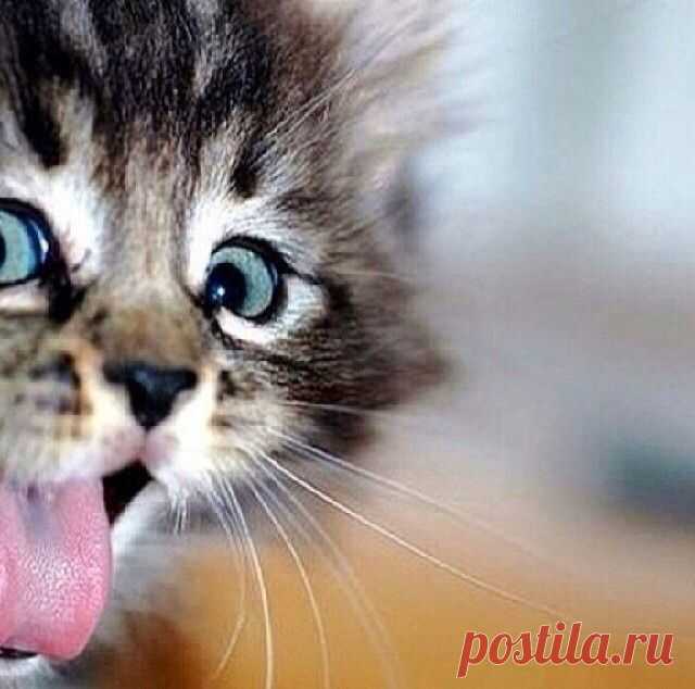 Привет!