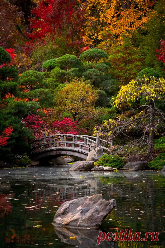 Фото – Google+