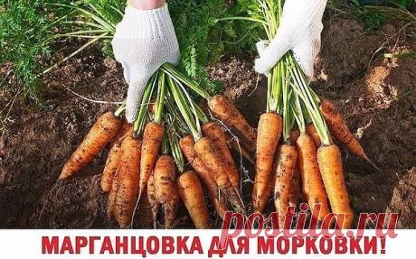 2 непрочитанных чата
