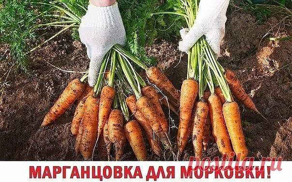 2 непрочитанных чата
