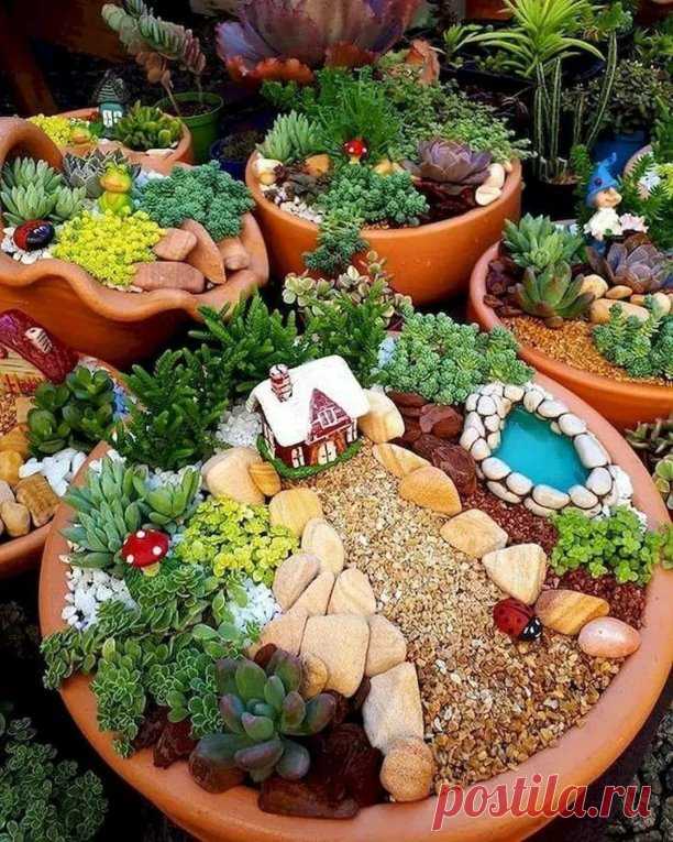 Мини-садики в керамических кашпо