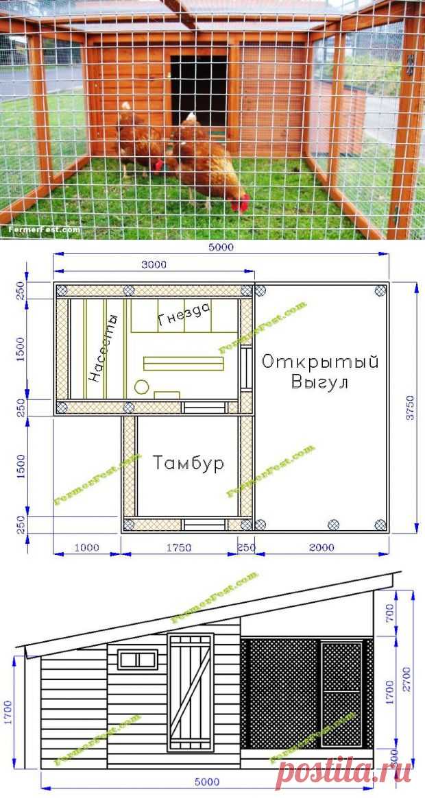 Строим курятник на 10 кур своими руками: чертежи и советы