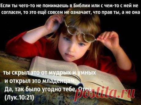 Фото пользователя Владимир, Санкт-Петербург, 51 год