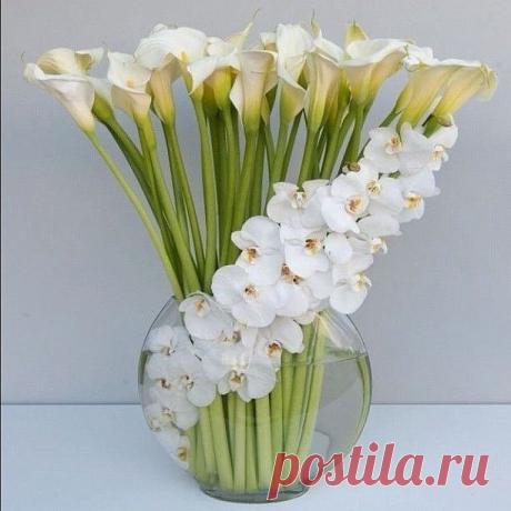 Я такой композиции цветов ещё не видела!