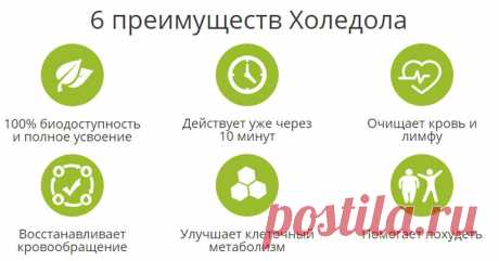 «Все товары в «Лекарственные средства Сколько стоят таблетки от холестерина р-р д/инъ 100МЕ/мл карт. 3мл №5 р-р д/ин 100ЕД/мл+50мкг/мл 3мл шпр-руч. №3 крем для зоны шеи и декольте 50мл Экономите ли Вы