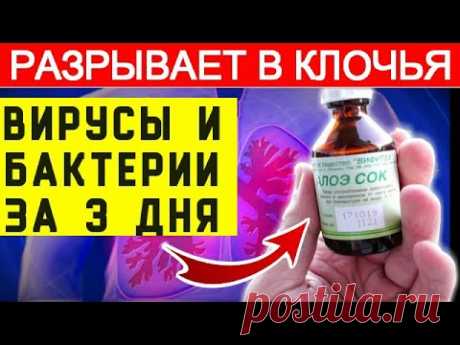 ★ ЗАЩИТА ваших лёгких ОТ ВИРУСА. Поднятие иммунитета ...