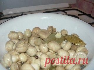 Одноклассники