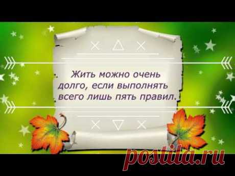 Рецепты долголетия Б.Болотова.Правило №1. ИЗМЕНЕНИЕ СООТНОШЕНИЯ МОЛОДЫХ И СТАРЫХ КЛЕТОК.