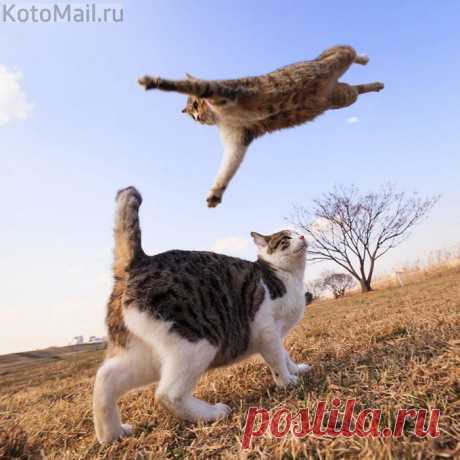 Я от счастья летаю,любимая!!!