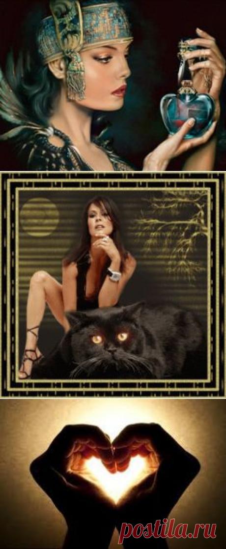 Как приготовить любовное зелье |Существует несколько натуральных и безопасных способов добавить перчинки в вашу интимную жизнь и повысить свое либидо, не обращаясь к помощи сильных медикаментов. Все что вам потребуется – это смещать несколько трав, обладающим эффектом эйфории и посылающих сигналы прямо в центральную нервную систему, стимулирующую приток крови.