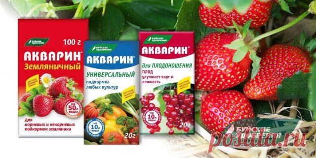 Водорастворимые комплексные минеральные удобрения «Акварин»